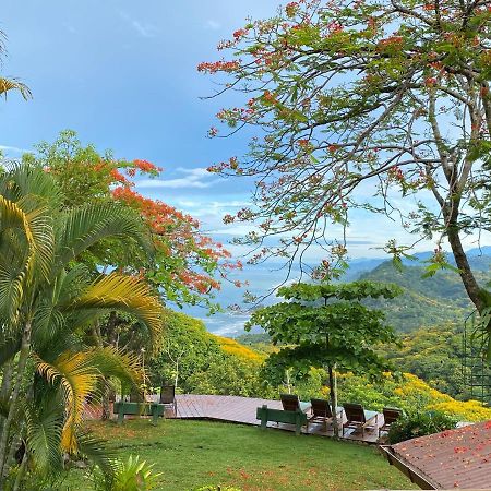 Pacific Edge Eco Lodge 도미니칼 외부 사진