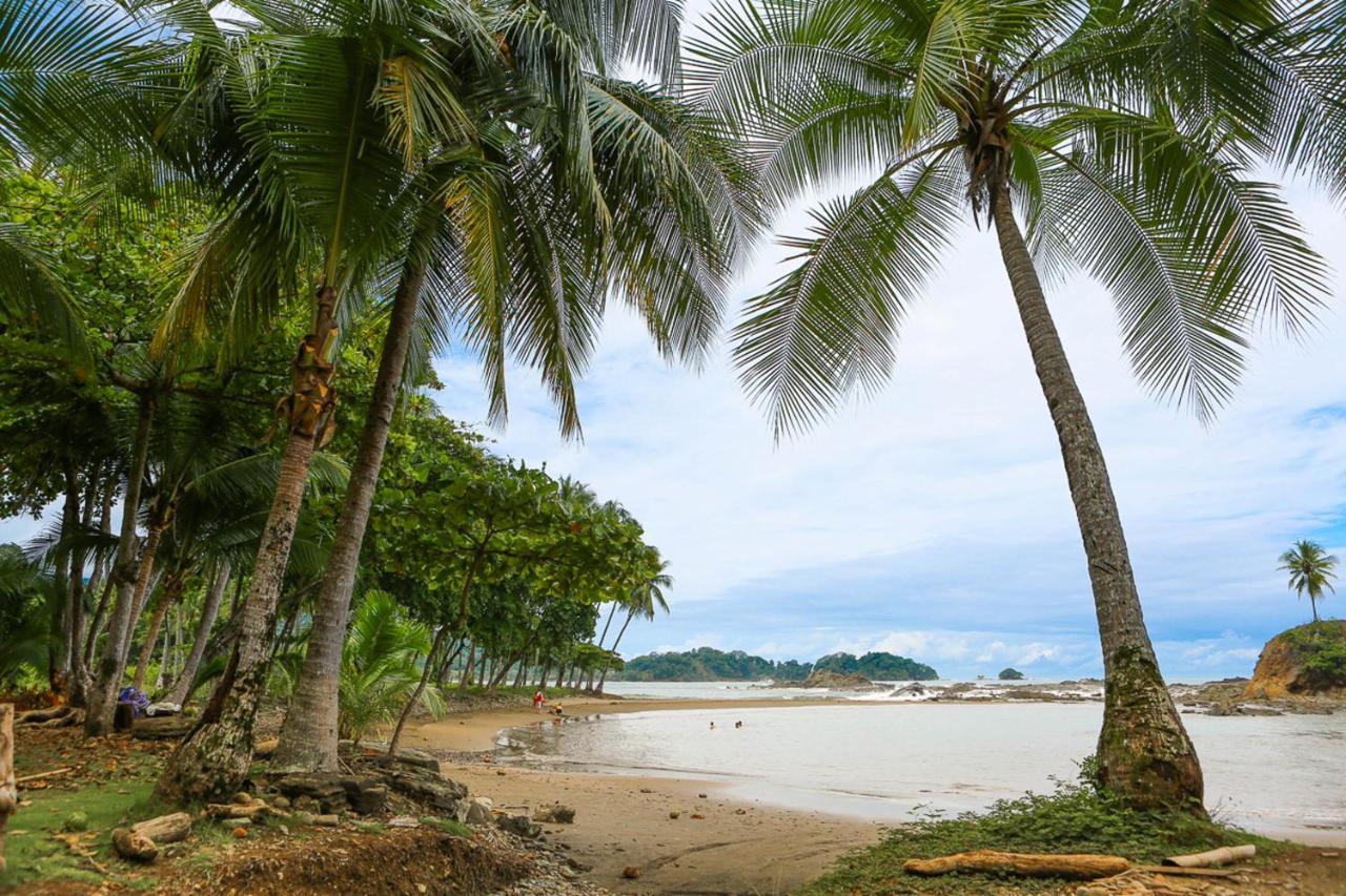 Pacific Edge Eco Lodge 도미니칼 외부 사진