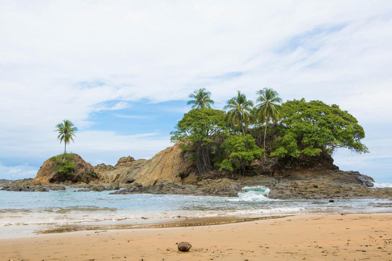 Pacific Edge Eco Lodge 도미니칼 외부 사진