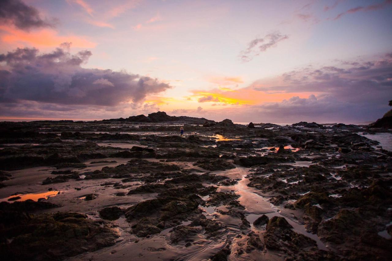 Pacific Edge Eco Lodge 도미니칼 외부 사진