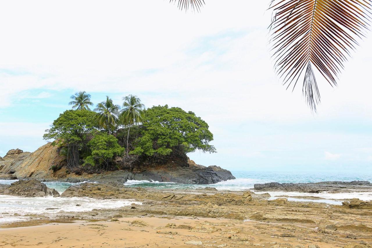 Pacific Edge Eco Lodge 도미니칼 외부 사진