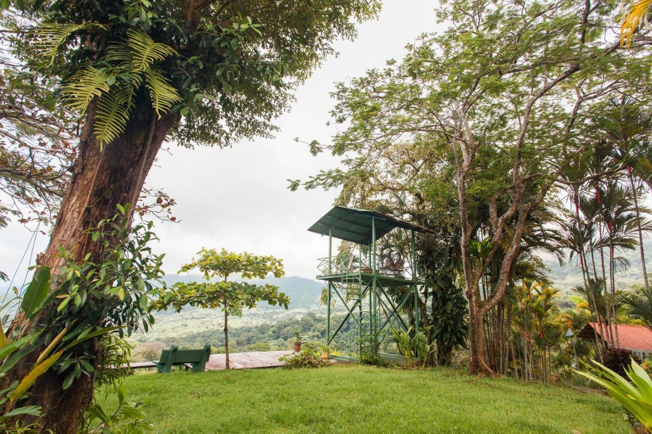 Pacific Edge Eco Lodge 도미니칼 외부 사진