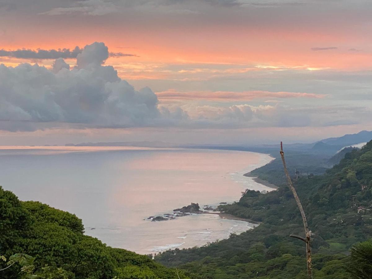 Pacific Edge Eco Lodge 도미니칼 외부 사진