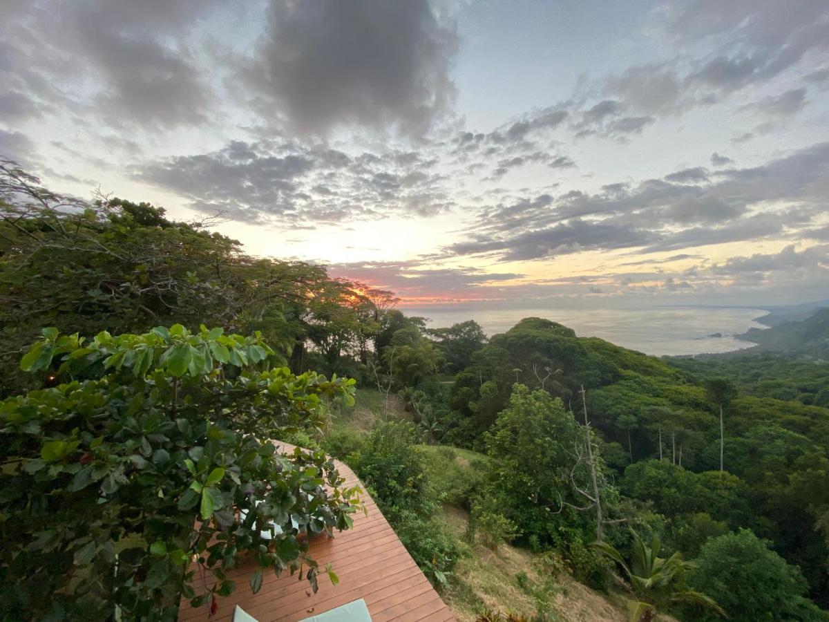 Pacific Edge Eco Lodge 도미니칼 외부 사진