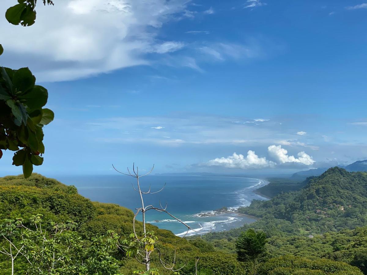 Pacific Edge Eco Lodge 도미니칼 외부 사진