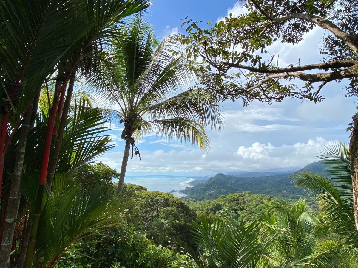 Pacific Edge Eco Lodge 도미니칼 외부 사진