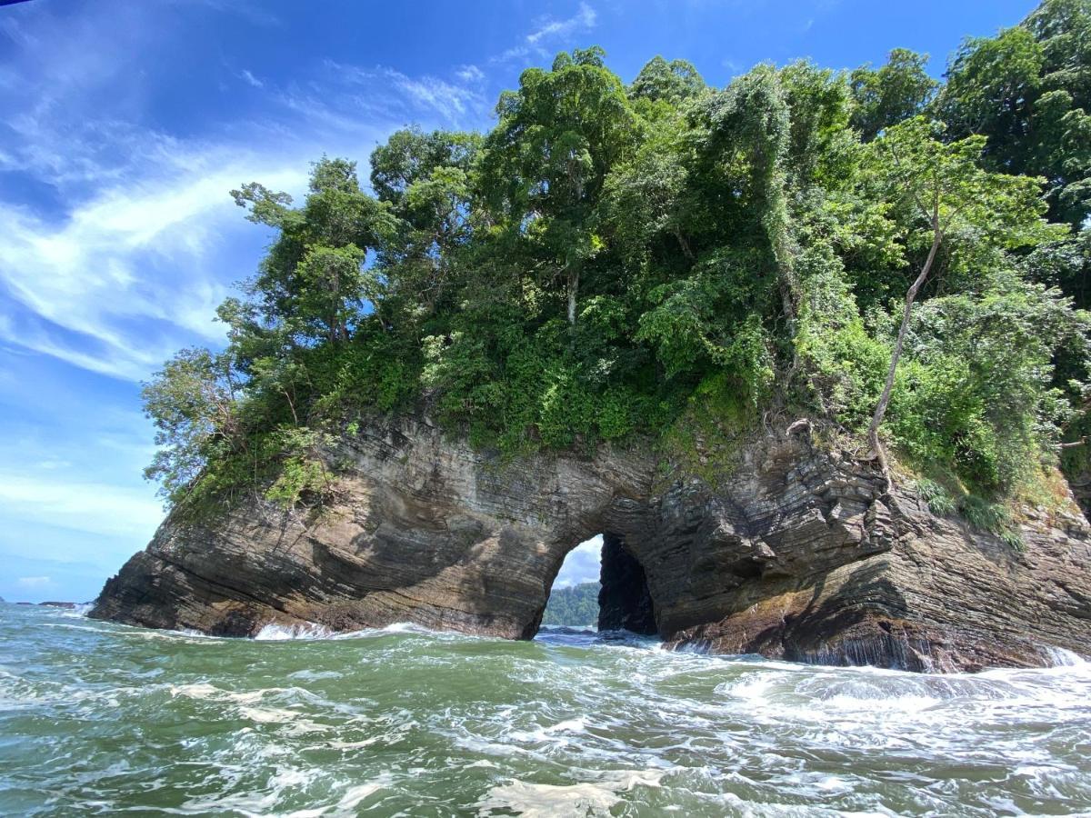 Pacific Edge Eco Lodge 도미니칼 외부 사진