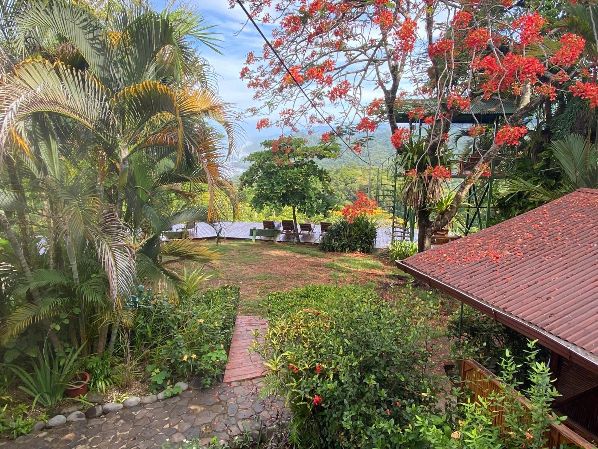 Pacific Edge Eco Lodge 도미니칼 외부 사진