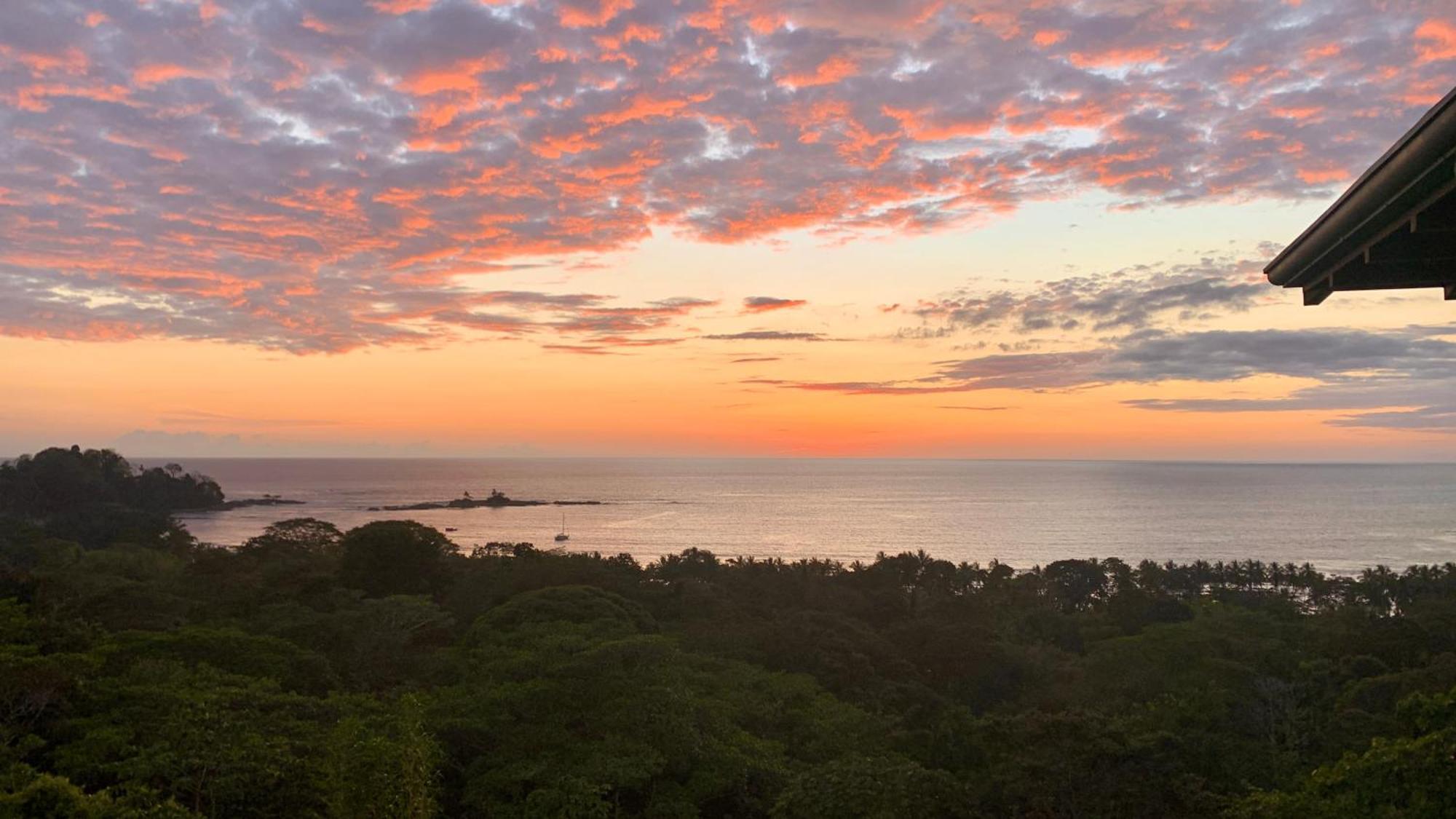 Pacific Edge Eco Lodge 도미니칼 객실 사진