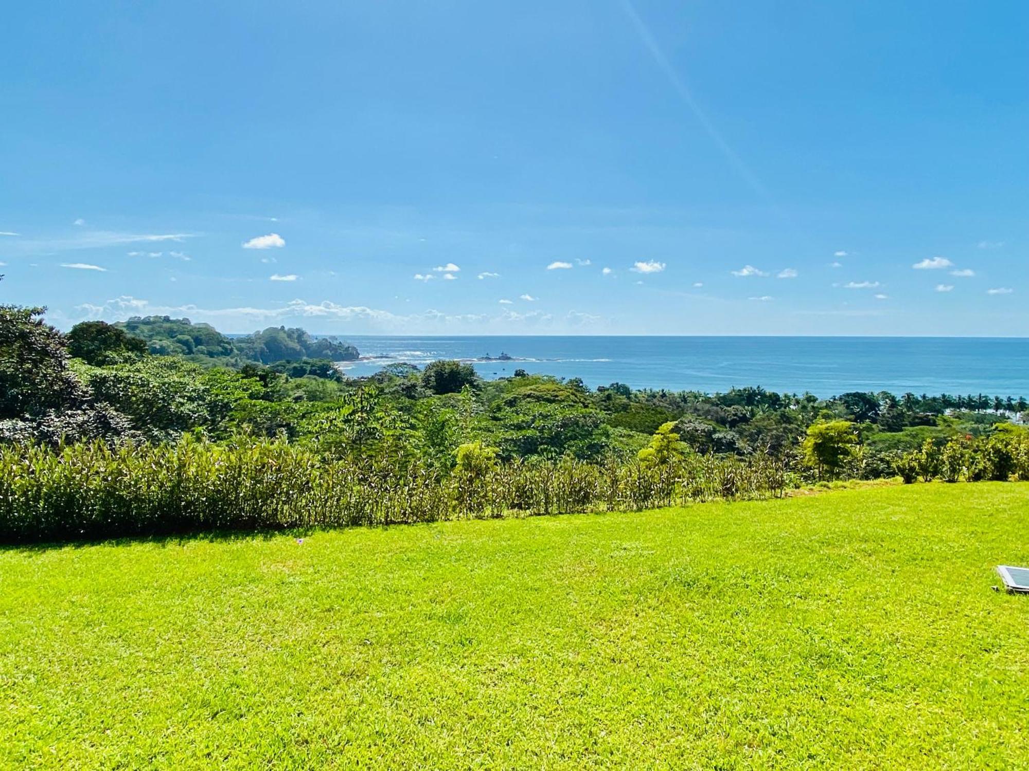 Pacific Edge Eco Lodge 도미니칼 객실 사진